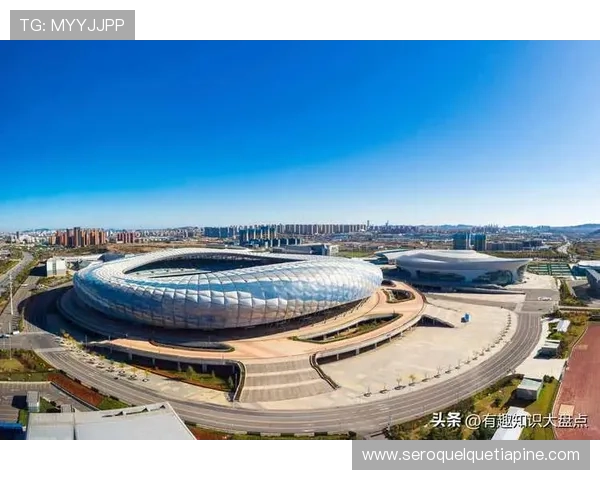 友博体育全面解析：如何选择最适合自己的体育娱乐平台