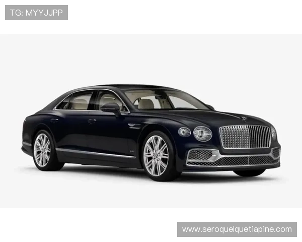 飞驰官方旗舰店，发现匠心独运的汽车周边产品